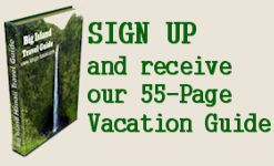 Big Island Newsletter