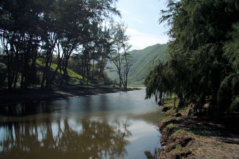 pololu1206_56b8.jpg