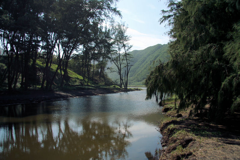 pololu1206_56b8.jpg