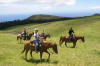 Kohala Ride