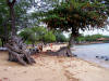 Spencer Beach Park, Kohala Coast