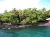 Turtle at Honaunau