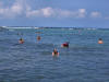 Snorkelers at Kahaluu Beach