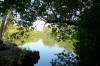 Fish Pond at Kiholo Bay