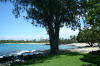 Shady grass patch overlooking the ocean