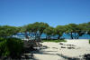 Shady trees surround the beach