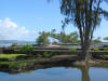 Cocnut Island seen from Queen Liliuokalani Gardens