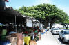 Hilo Farmer's Market