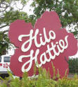 hilo hattie kona coffee