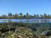 Kapoho Tide Pools, Hawaii