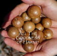hawaiian macadamia nuts