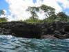 Sea Caves near Keauhou Bay