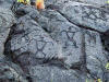 Petroglyphs Volcanoes National Park