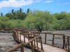 Trail leading to the Petroglyphs