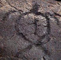 Sea Turtle Petroglyphs - Viewed at Volcanoes National Park