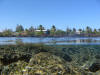 Kapoho Tidal Pools