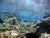 Looking up to the surface of the tidal pool