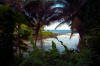 Onomea Bay, Hamakua Coast Hawaii