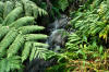 Hiking the Big Island of Hawaii