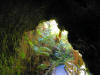 Thurston Lava Tube