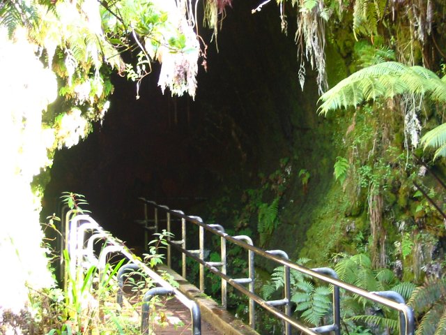Thurston Lava Tube Entrance