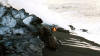 Lave flow ocean entry