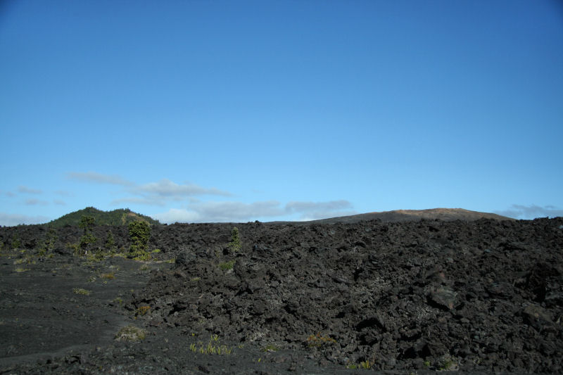 Napau Crater Trail (Mauna Ulu)