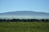 Mauna Kea in background