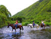 Waipio Horseback Tour