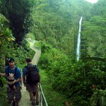 Hiking to Akaka Falls
