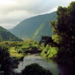 Deep in the Waipio Valley