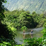 Paddle Boarders Deep in the Waipio Valley