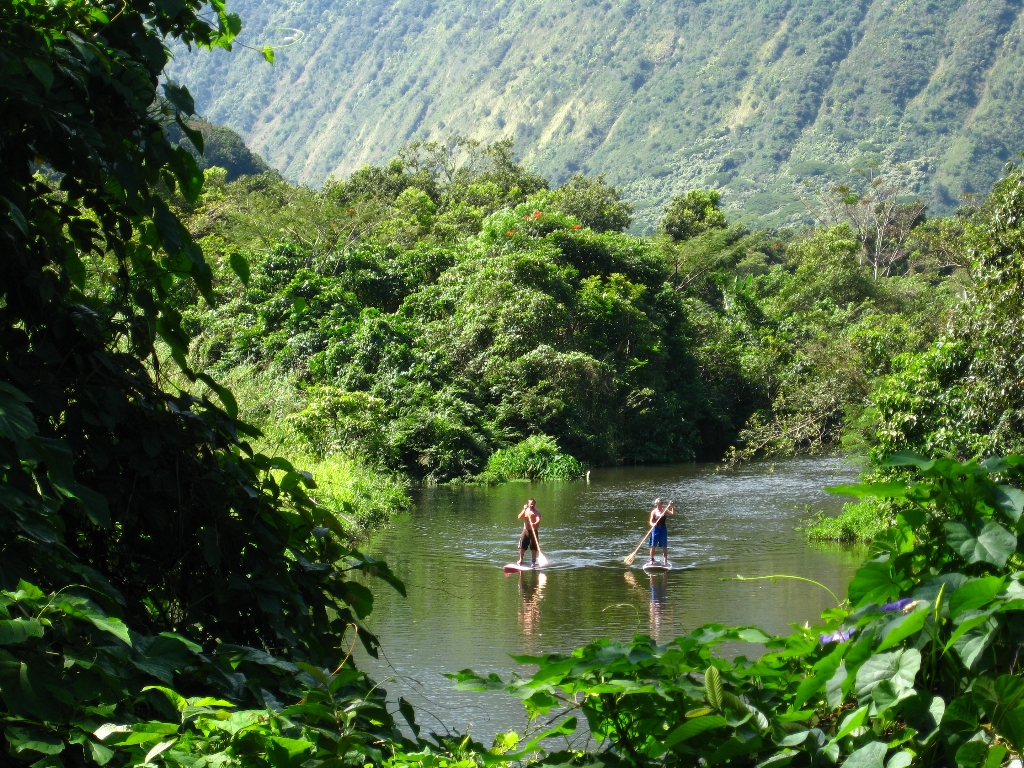 Paddle Boarders Deep in the Waipio Valley